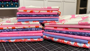 Pink Bunny Bundle - Ruby Star Society Fabrics