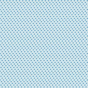 Pretty Things Deep Dot Texture -  Denyse Schmidt for Windham Fabrics