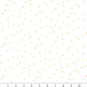 Daisy Farmhouse Star Bee Plaids - Lori Holt Riley Blake Designs